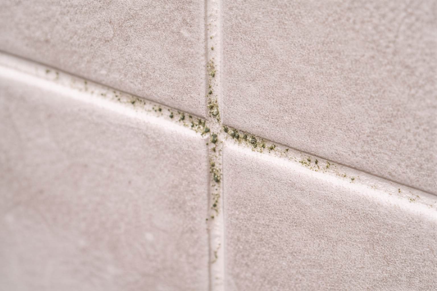 Krupan plan plocica i fuga